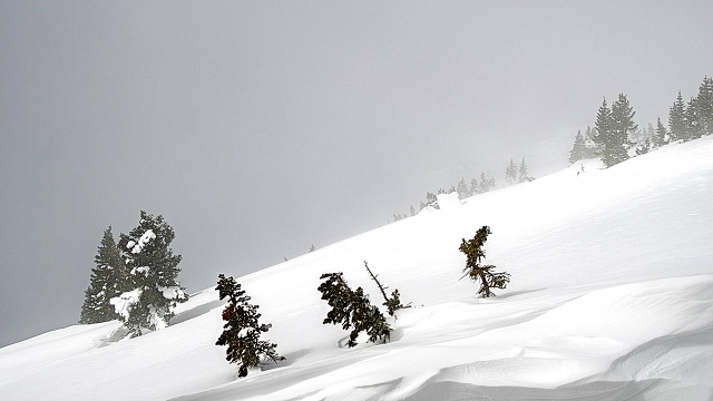 Cody Peak Cam