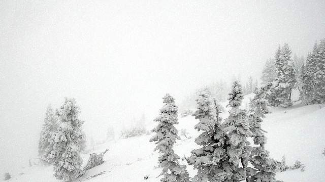 Cody Peak Cam
