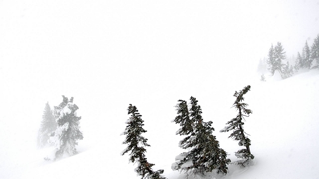 Cody Peak Cam