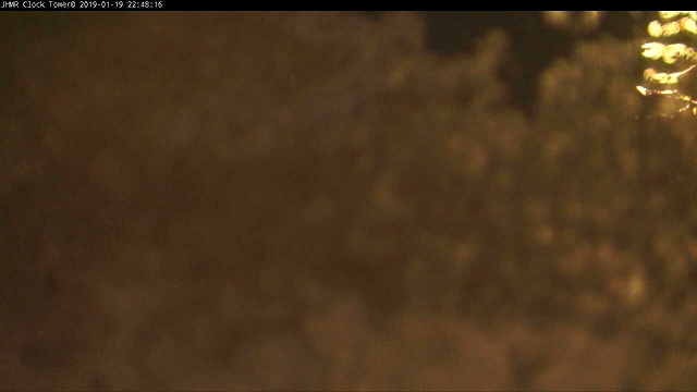 Tram Station Cam