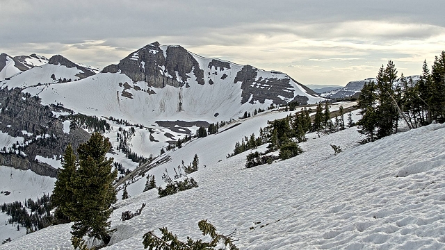 Cody Peak Cam