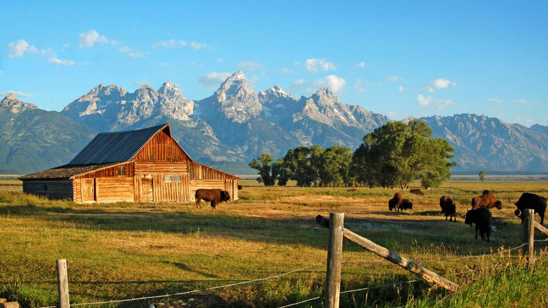 Things To Do In Jackson Hole Jackson Hole Central Reservations