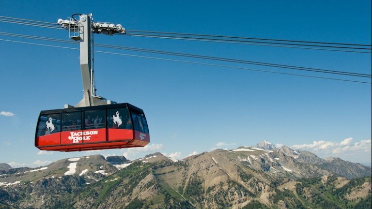 Scenic Tours