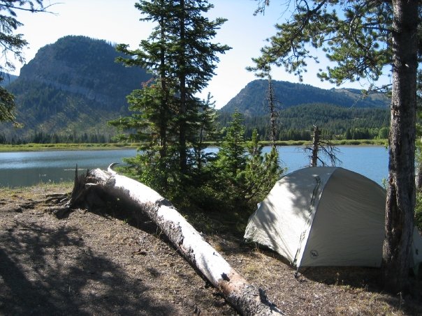 A single tent sits besides a downed tree and looks out onto a lake and mountains in Yellowstone National Park