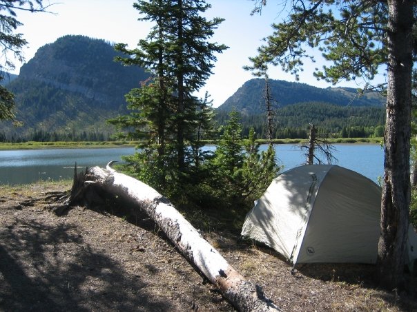 20++ National Forest Camping Jackson Wy