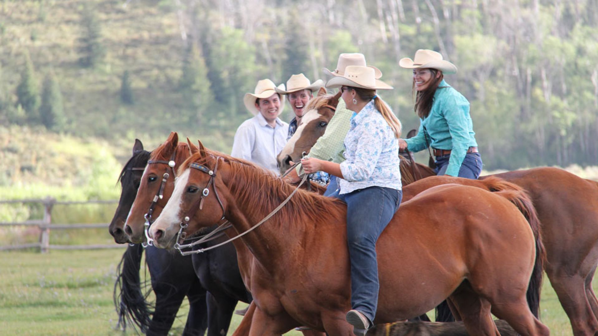 horseback riding tours jackson hole