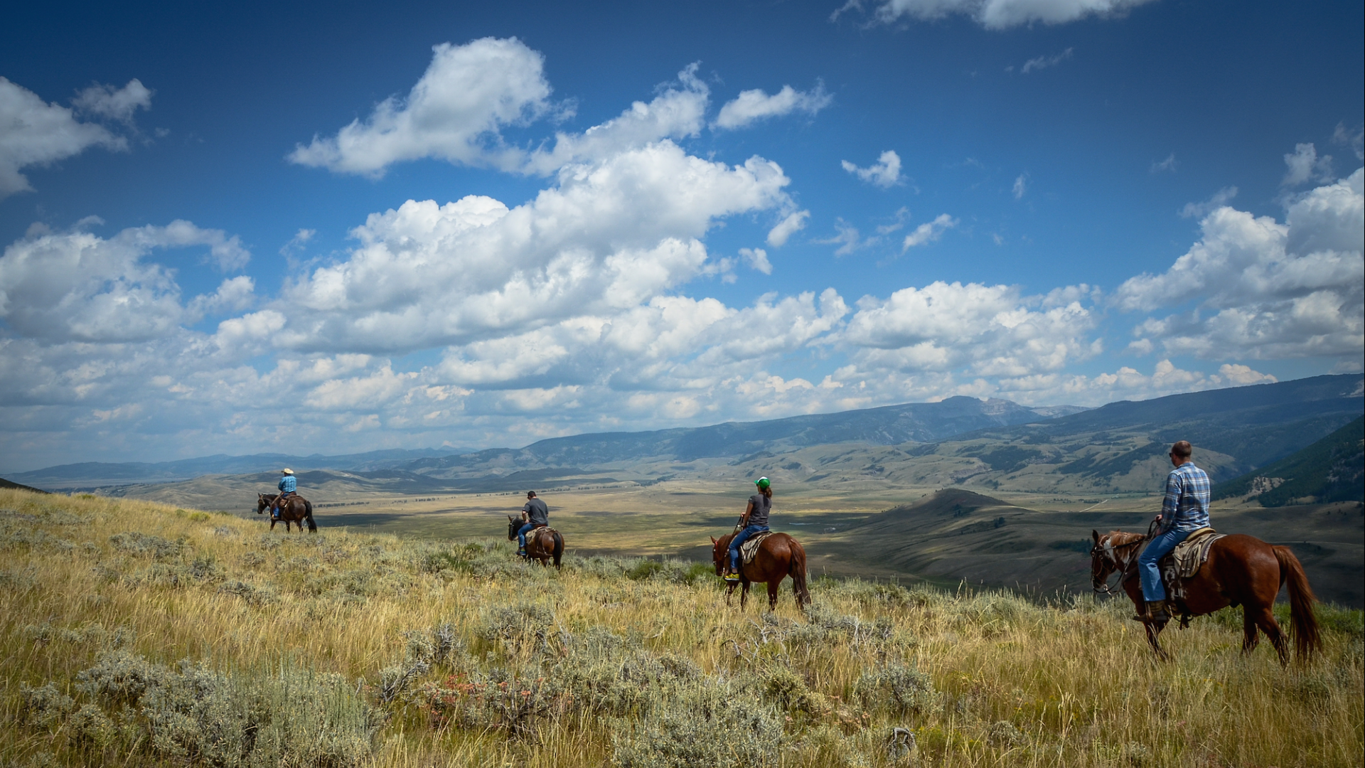 horseback riding tours jackson hole