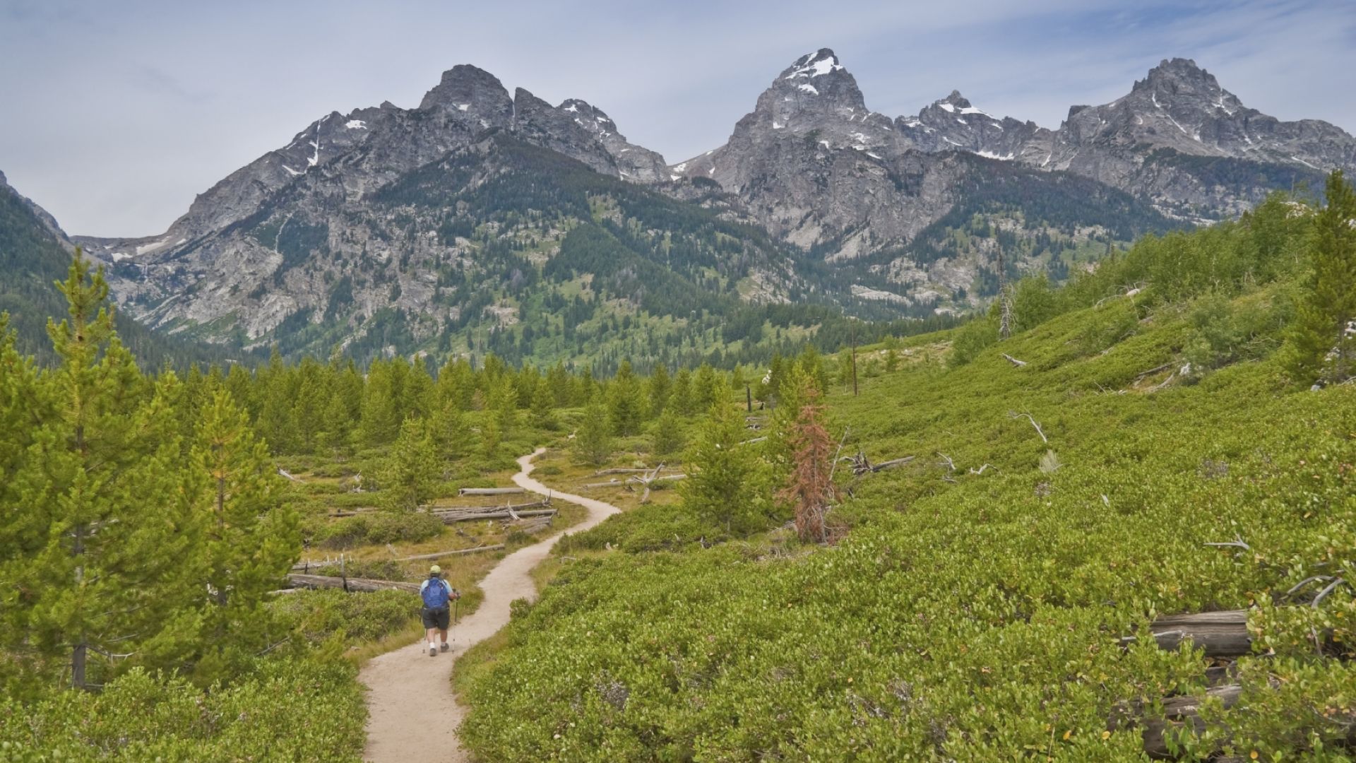 Jackson Hole Hiking Grand Tetons Yellowstone Placs To Hike