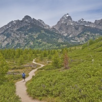 Hiking
