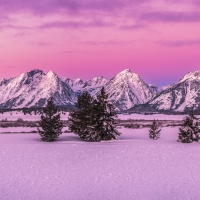 How to Choose Between Yellowstone & Grand Teton National Parks