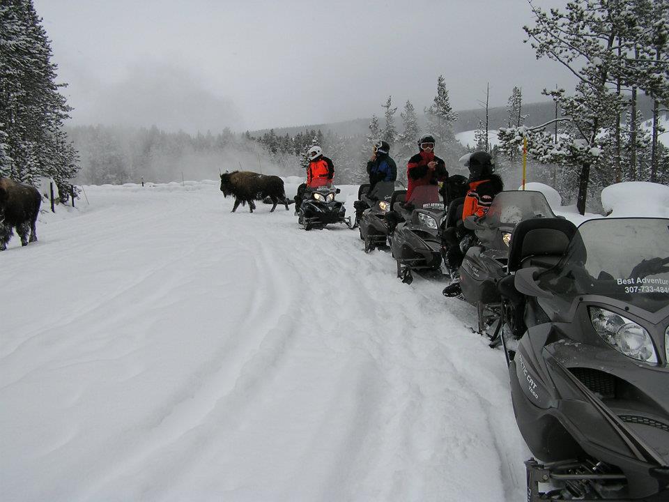 Snowmobile Trips in Yellowstone | Jackson Hole Central ...