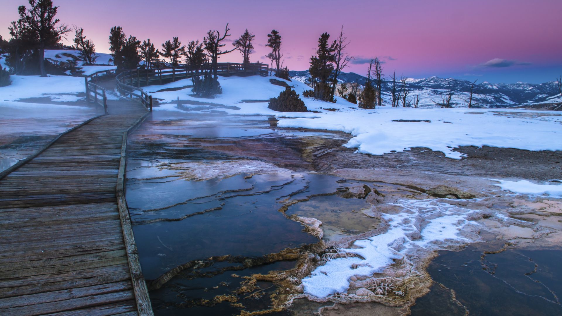 Yellowstone National Park: Exclusive Deals - Local Expertise - Jackson ...