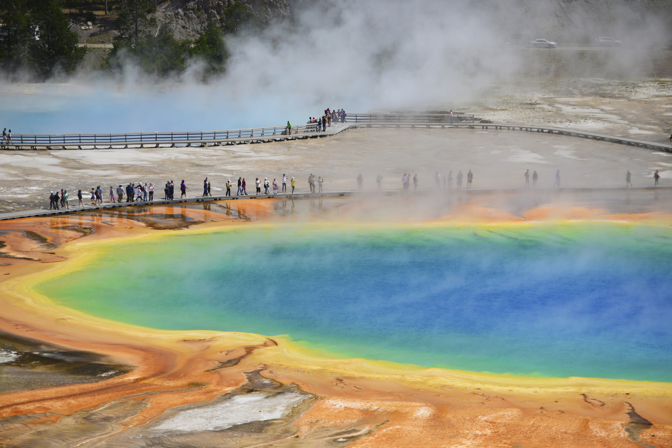 Yellowstone National Park Facts  Jackson Hole Central 