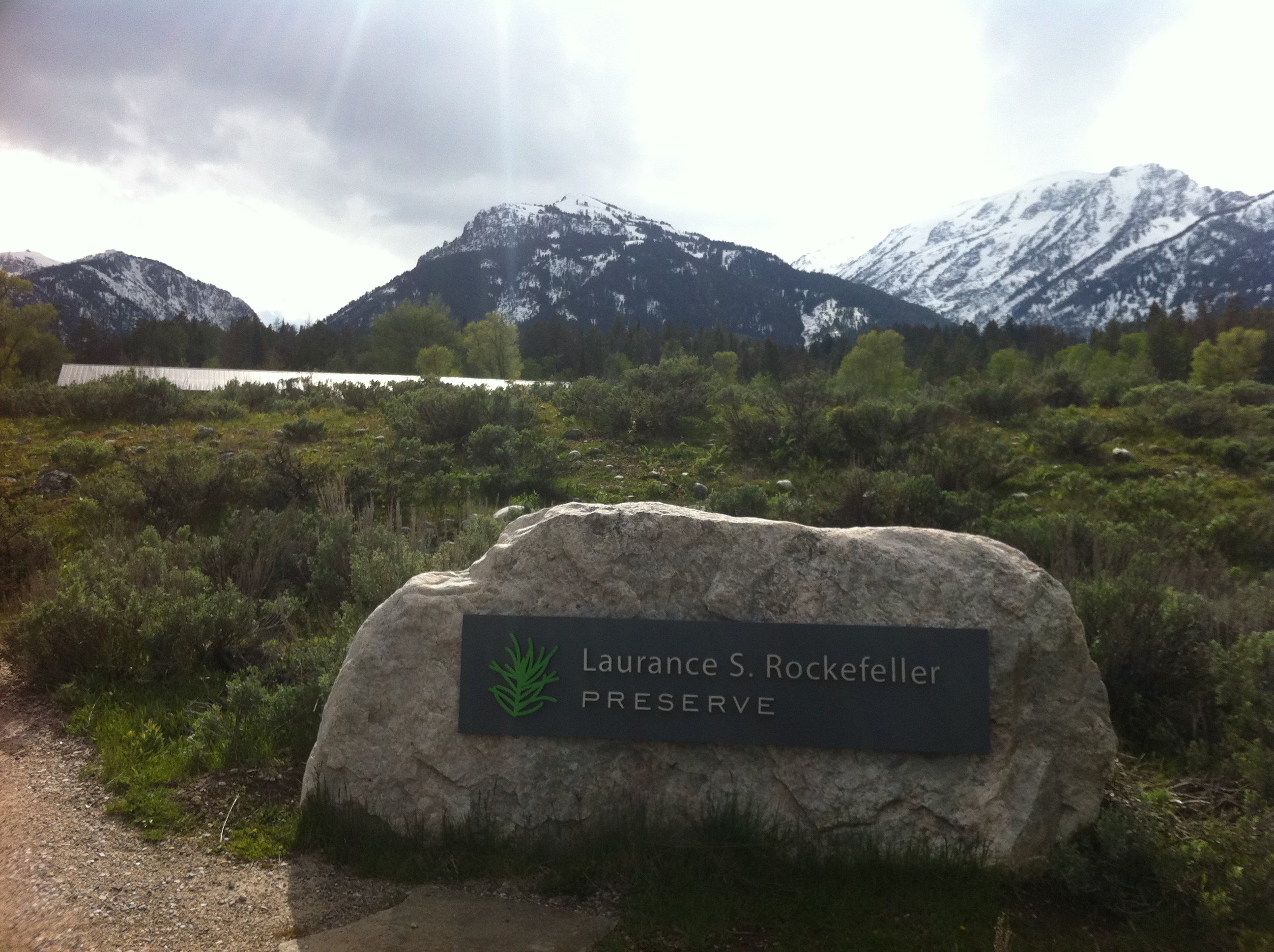 MooseWilson Road A Scenic Drive in Jackson Hole