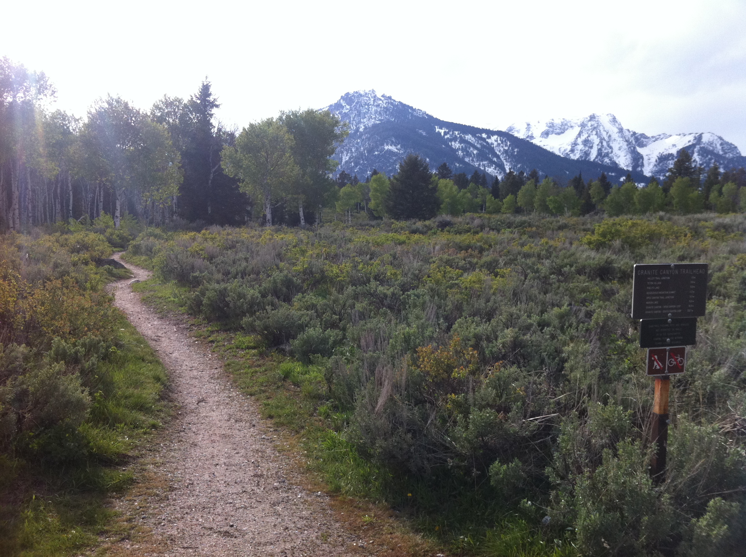 grand teton hikes