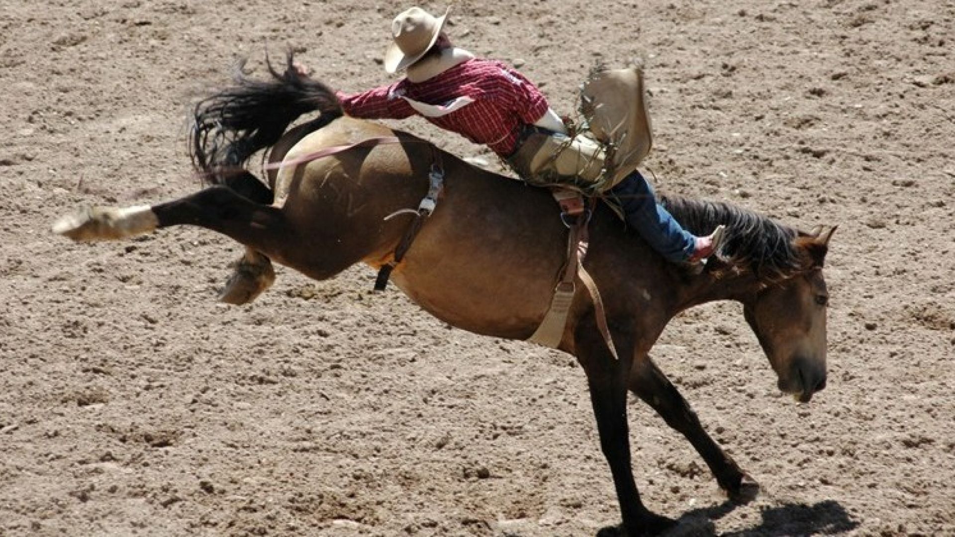 Jackson Hole Rodeo Summer Season Starts! Jackson Hole WY Central Reservations Blog