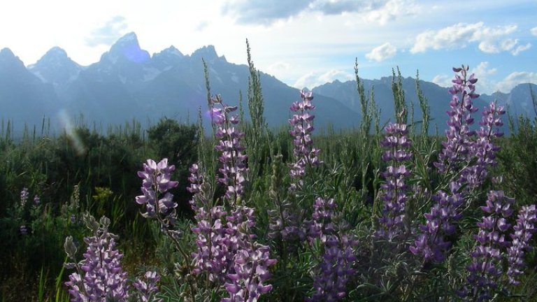 5 Things to Do in Jackson Hole this Spring