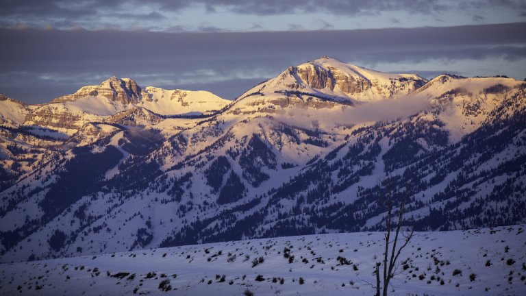 Snowshoeing
