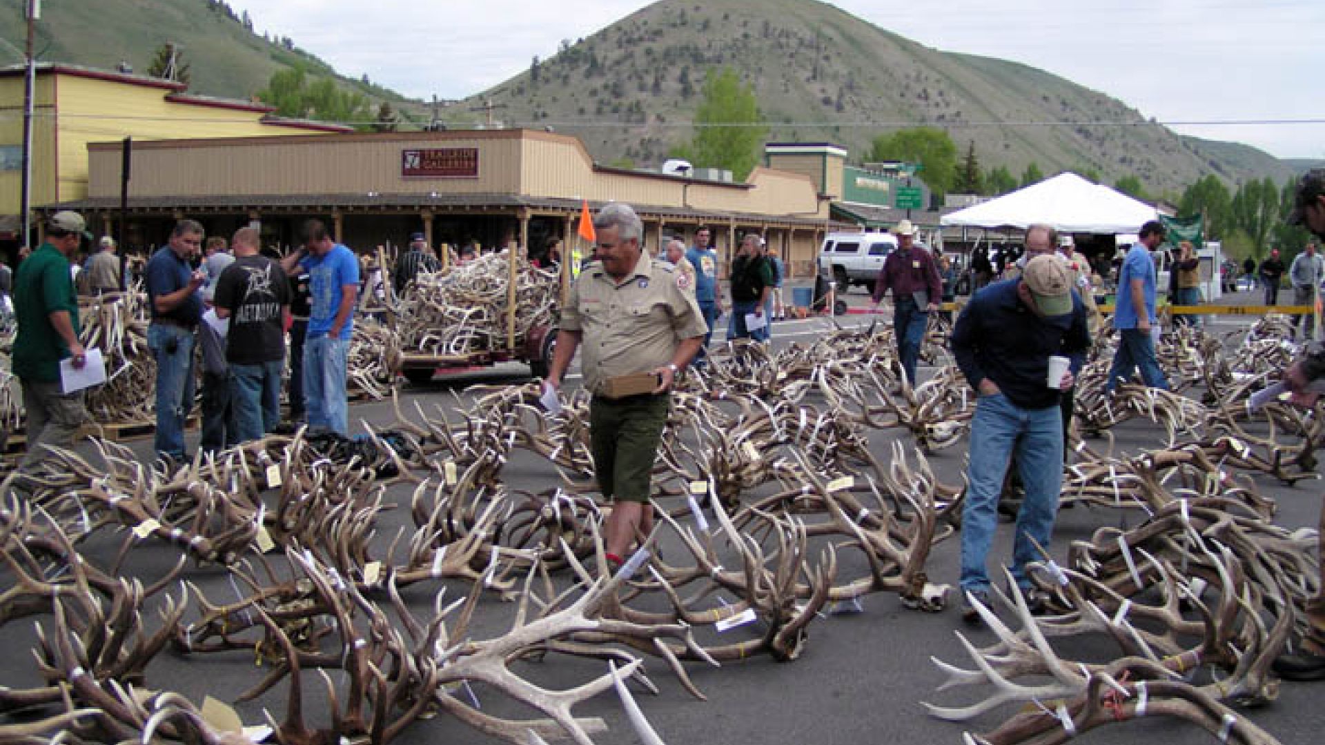 Elkfest Kicks Off this Saturday! Jackson Hole WY Central Reservations