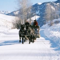 Mill Iron Ranch Dinner Sleigh Rides