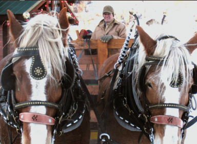 Mill Iron Ranch Dinner Sleigh Rides