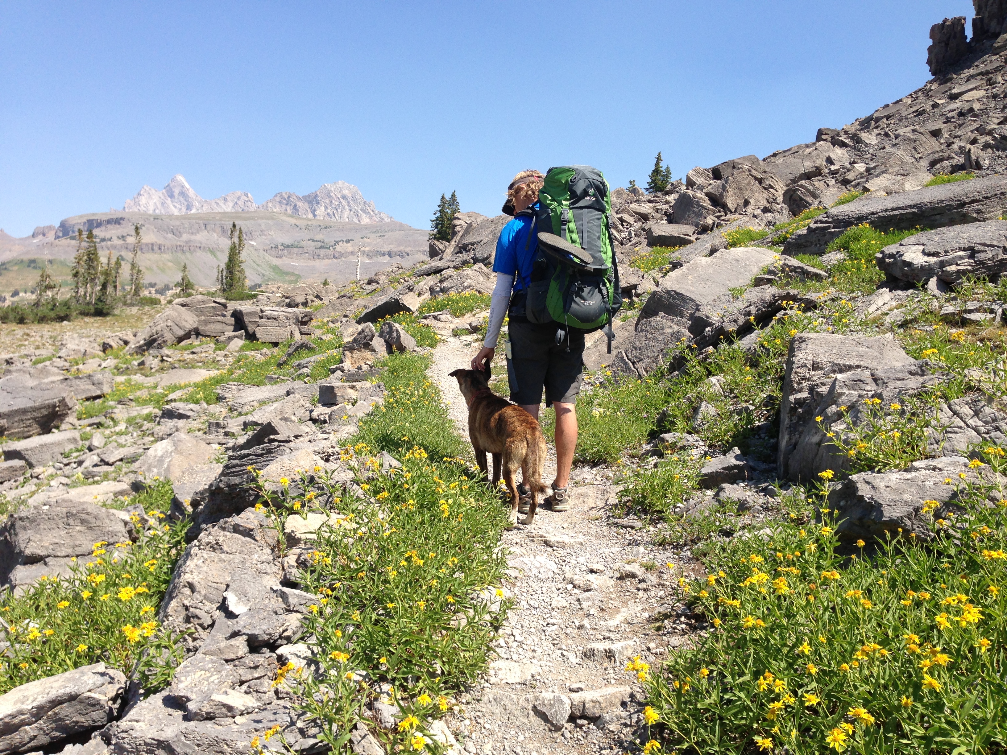 jackson hole dog hiking