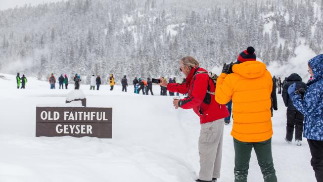 Winter Wildlife & National Parks Package Winter Wildlife & National Parks Package