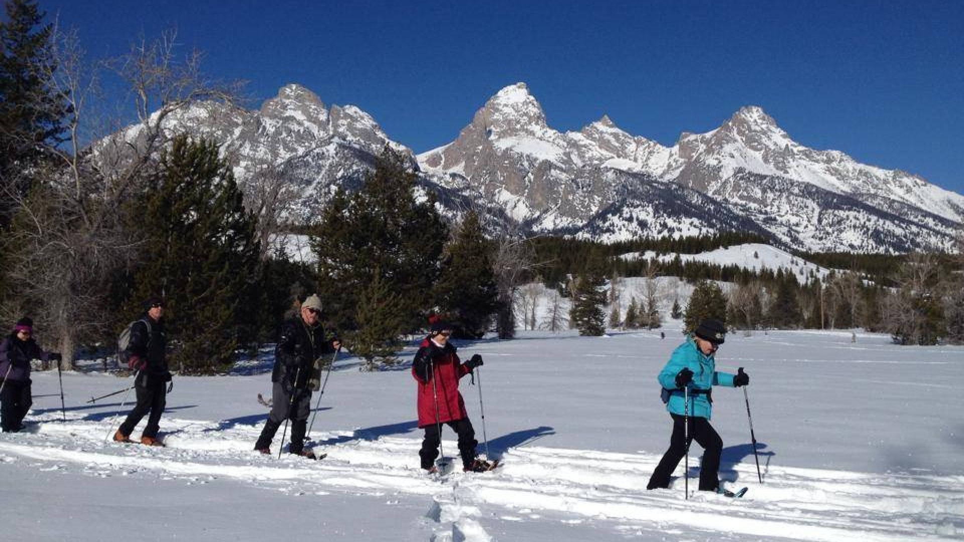 Partner Spotlight Hole Hiking Experience Jackson Hole WY Central