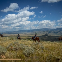Spring Creek Ranch Horseback Rides