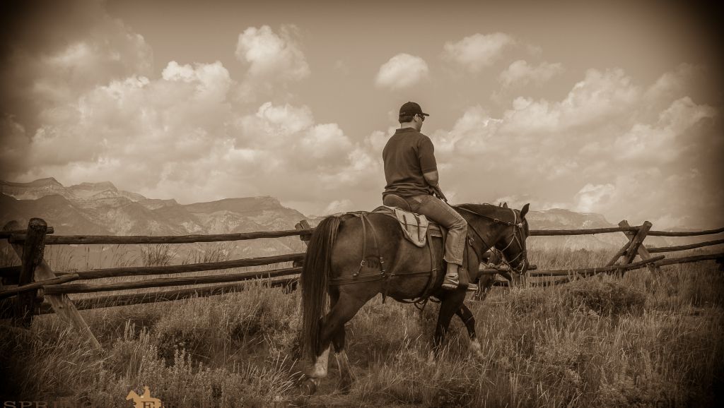 Dusty stables photography- horseback rides-7