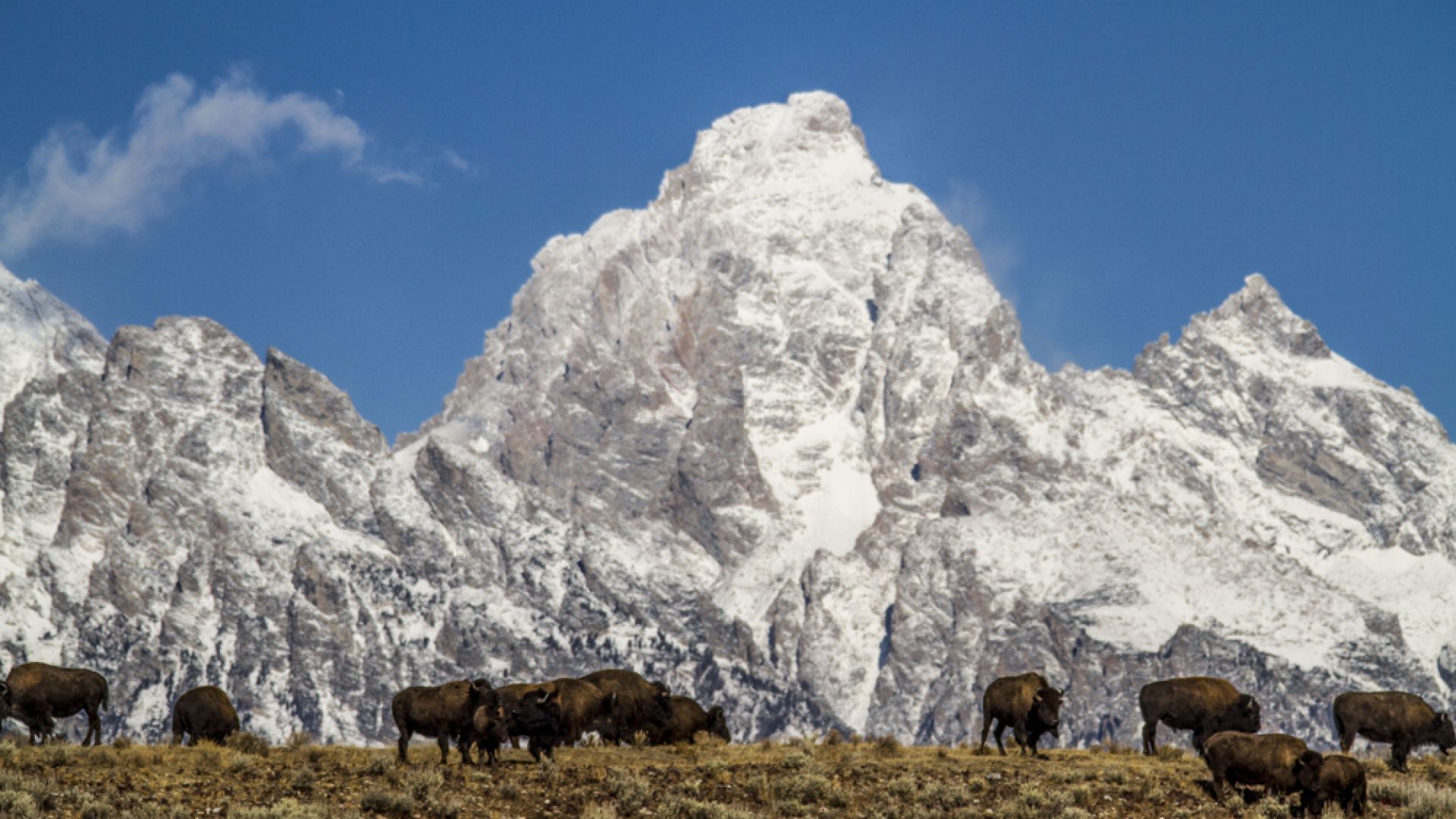 3 spring activities in jackson hole jackson hole wy central 