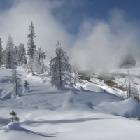 Wildlife Expeditions of Teton Science Schools
