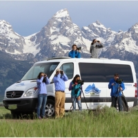 Wildlife Expeditions of Teton Science Schools