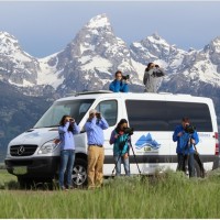 Wildlife expeditions summer 1