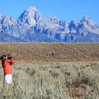 Jackson Hole Wildlife Safaris