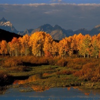 Fall in Jackson Hole: 9 Things to Do in Grand Teton National Park