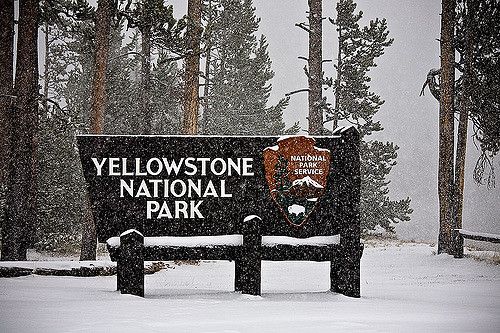 Welcome to Yellowstone in the winter