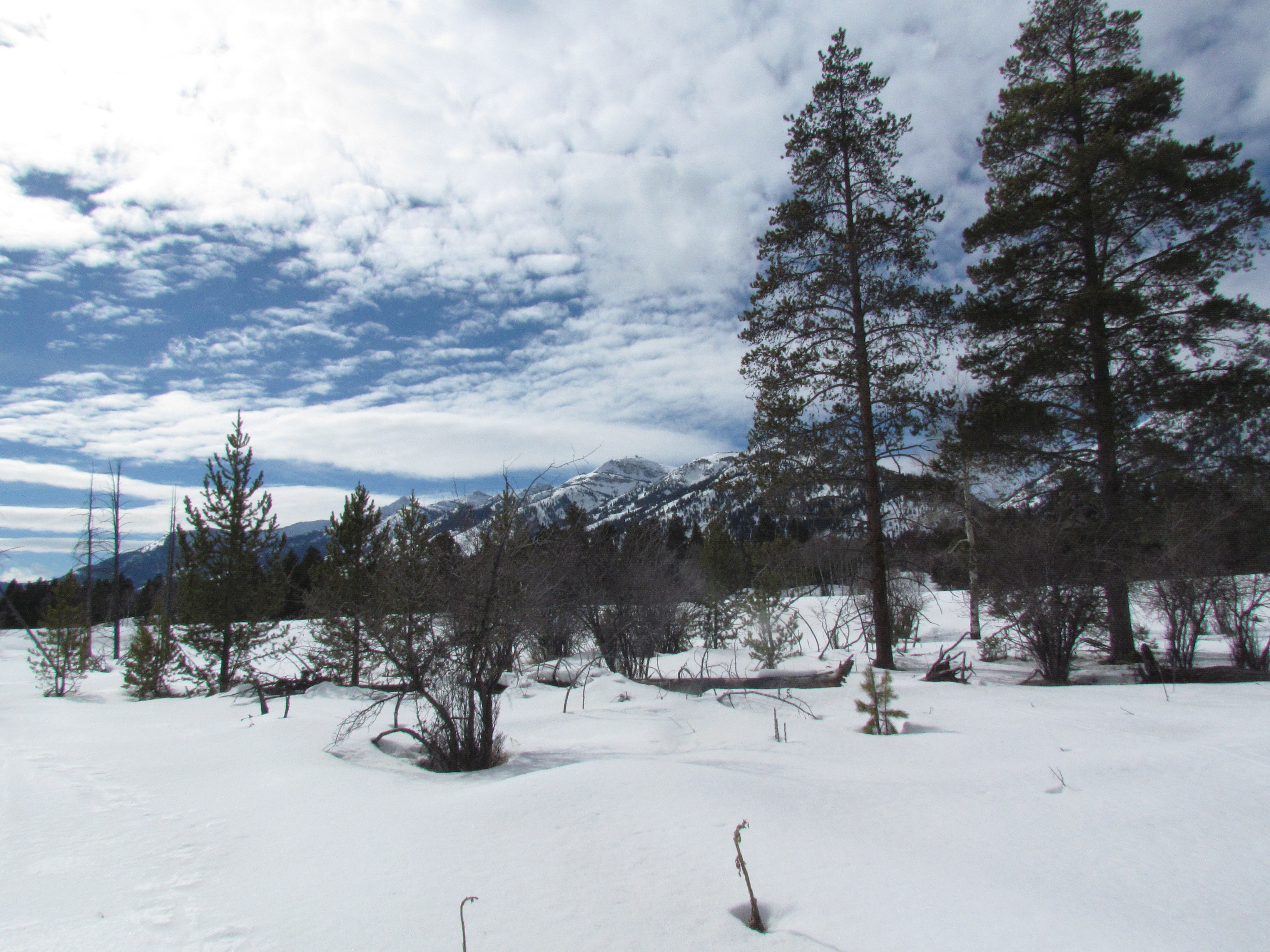 snowshoe grand teton