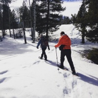 Snowshoeing in Grand Teton with The Hole Hiking Experience