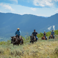 Jackson Hole: Why Everything Is Better With A Guide