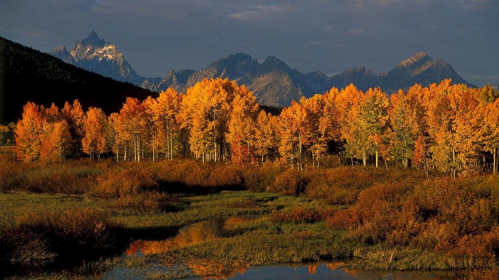 Fall National Parks Package in Jackson Hole Fall National Parks Package in Jackson Hole