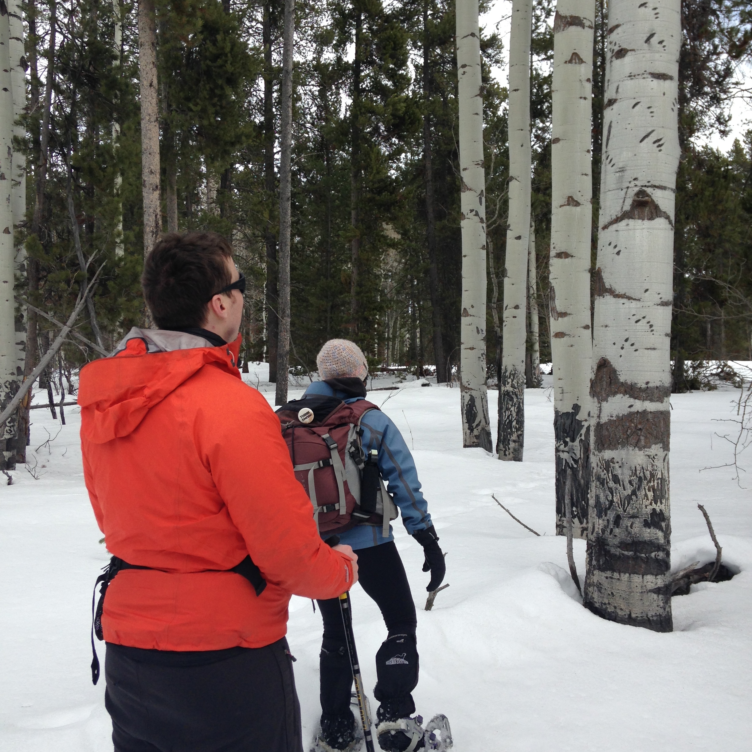 Snowshoe Tour