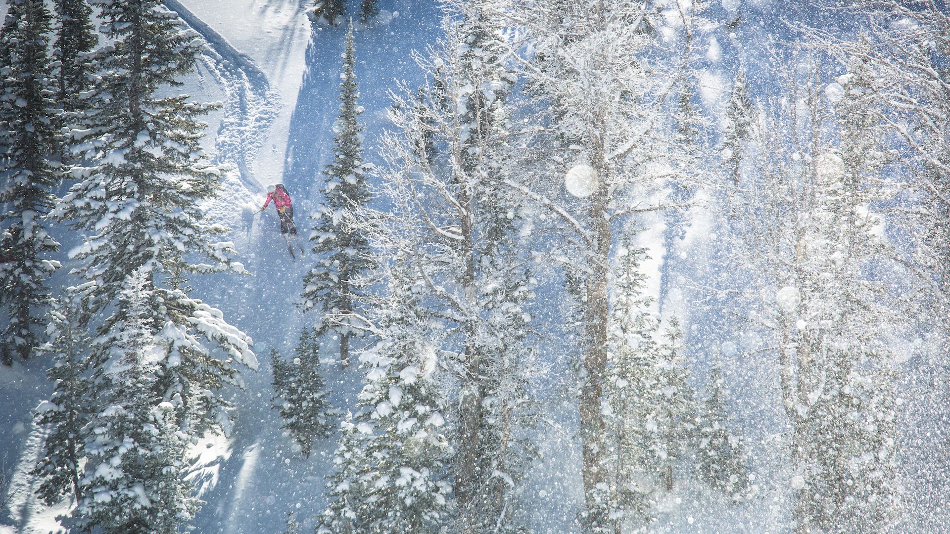 Mountain skiing and snowboarding in Jackson Hole, WY