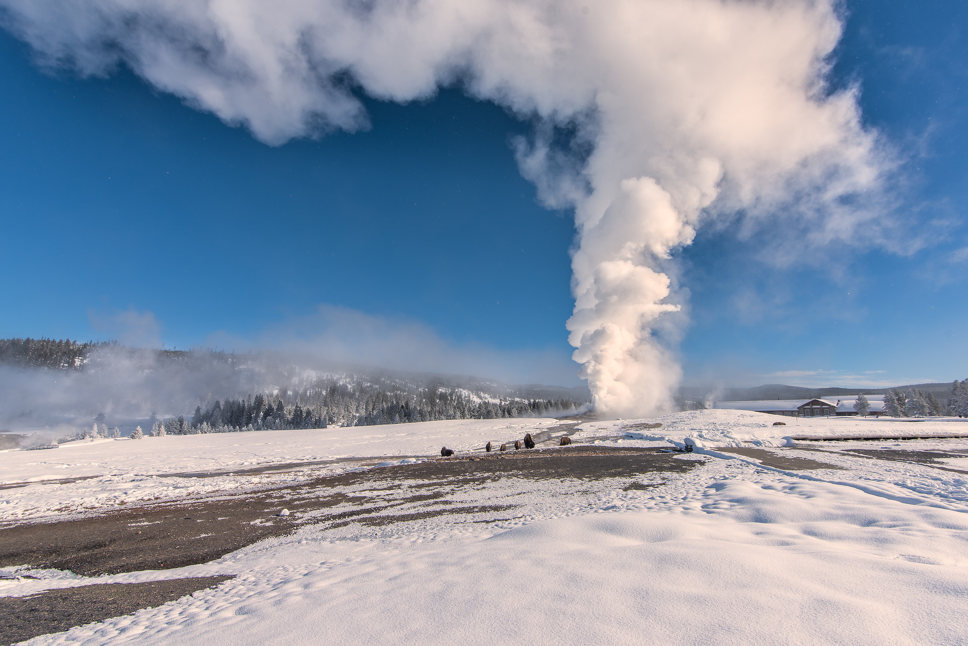 geyser steaming in winter
