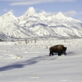 Book Early for Winter & Save 10% On Your Stay