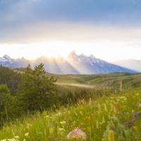 Top 7 Summer Activities in Jackson Hole, WY