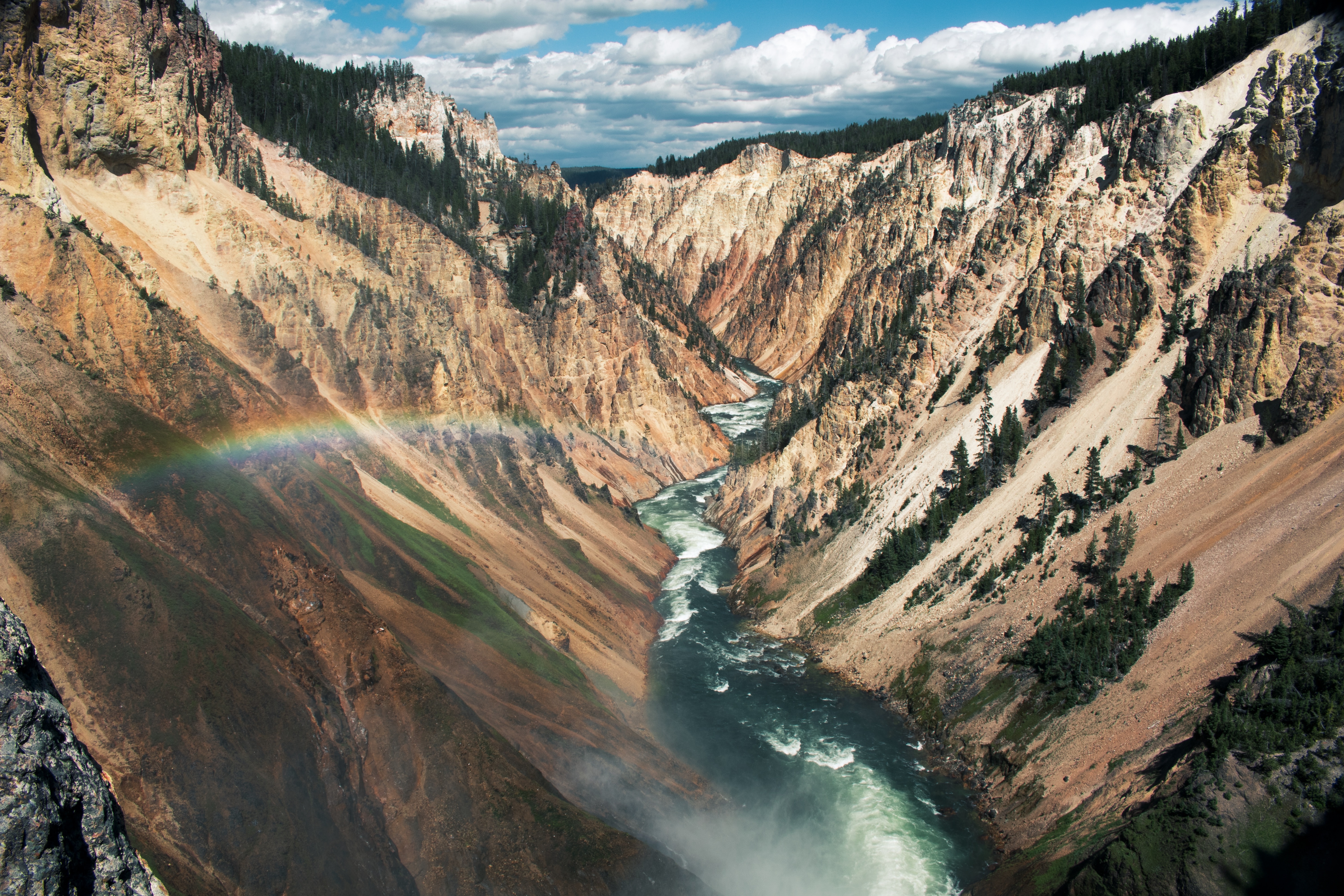 canyon and rainbow in yellowstone national park