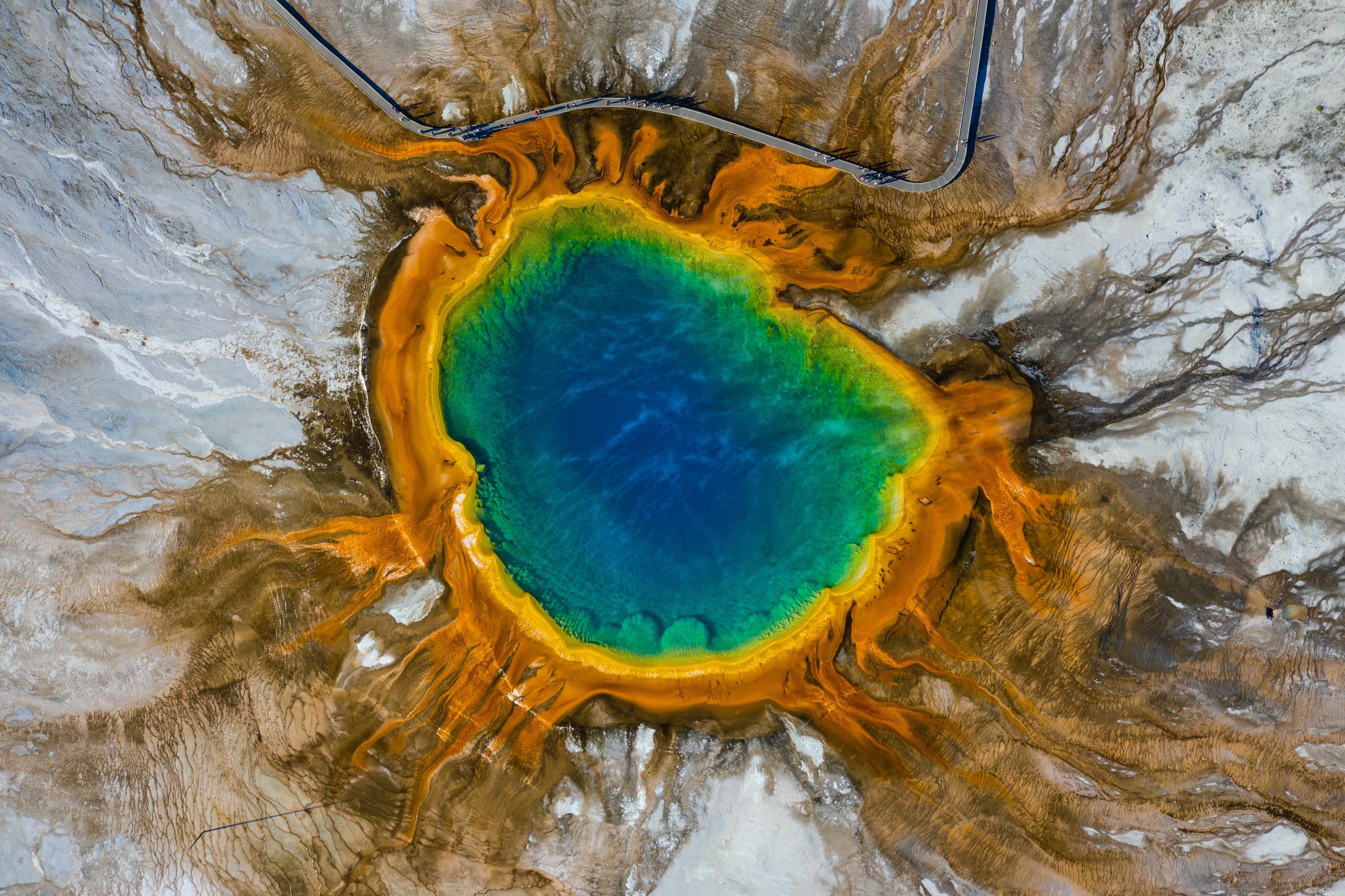 prism spring in yellowstone