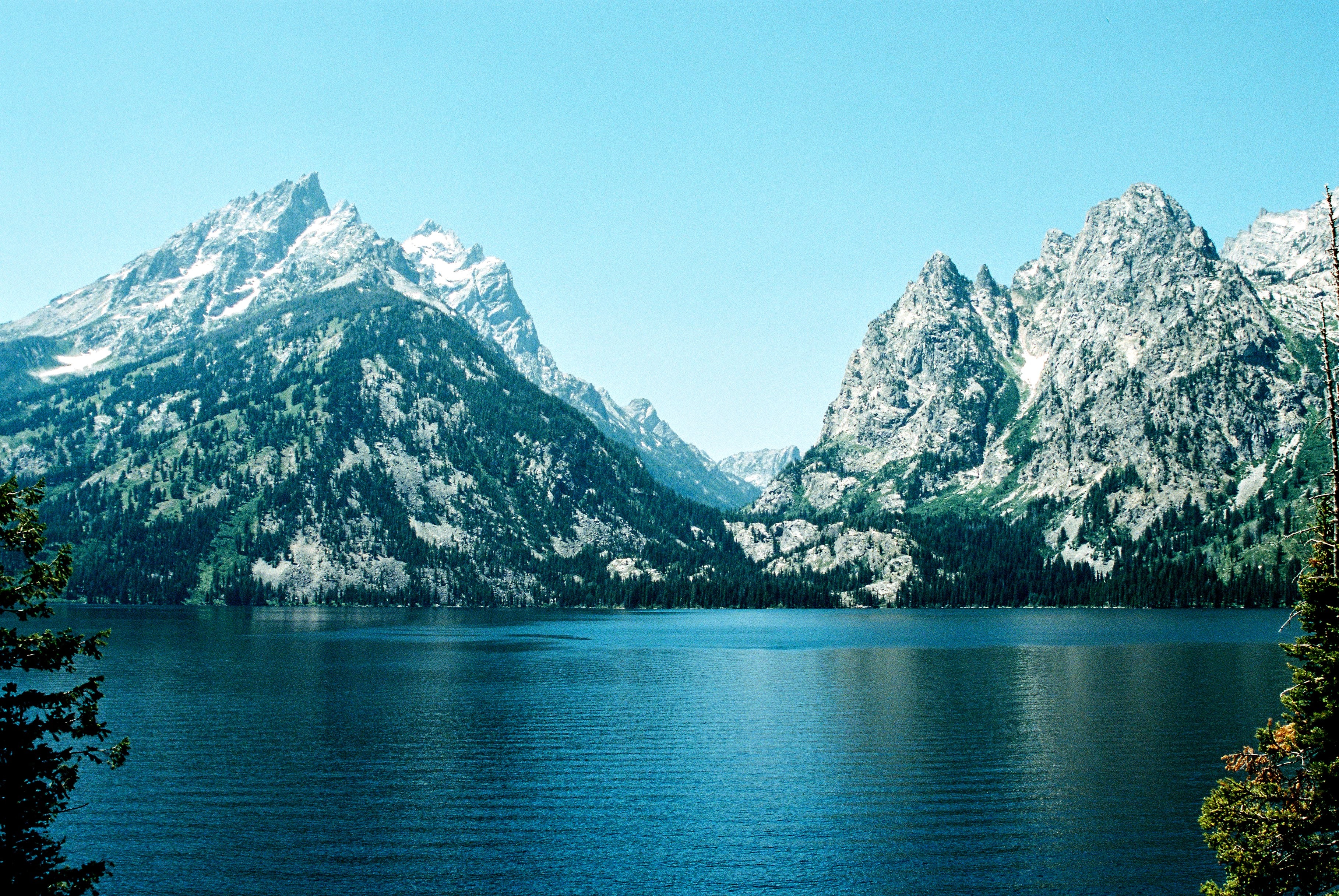 Jagged mountains with snowy peaks and alpine trees over a vivid blue lake in Grand Teton National Park