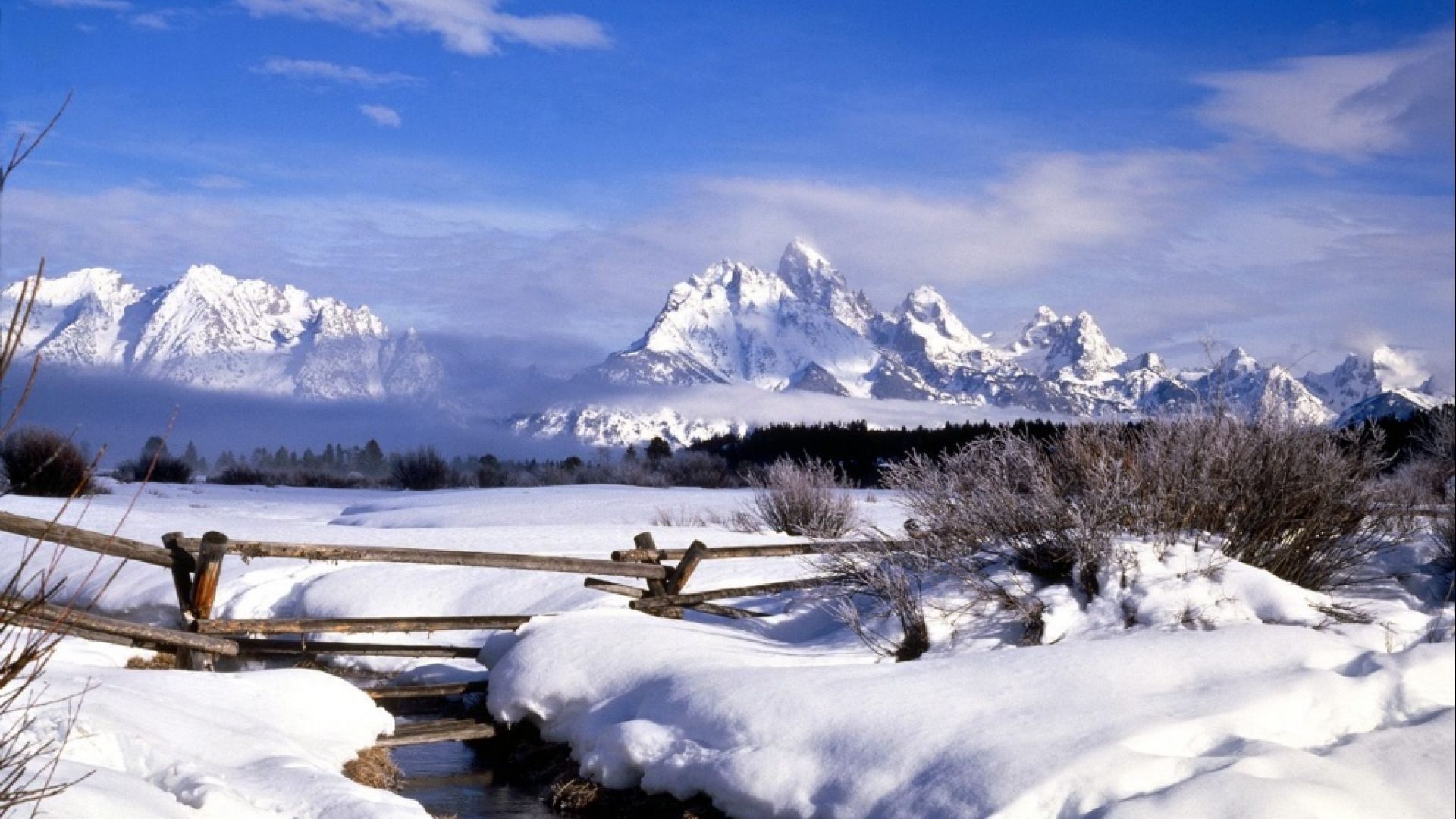 Contact Us Call or email us today to learn more about travel to Jackson Hole.